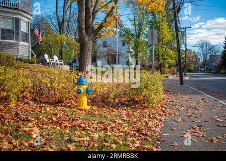 Blau und gelb gestrichener ikonischer amerikanischer Feuerhydrant, vor einem traditionellen alten Haus, an der Ecke Elm St und Ocean Ave, Kennebunkport, ME. Stockfoto