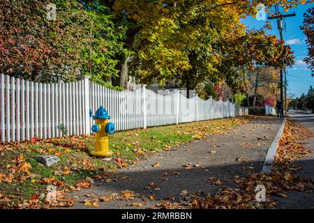 Blau und gelb lackierter ikonischer amerikanischer Feuerhydrant, vor einem weißen Zaun, an der Ecke Pearl St und Ocean Ave, Kennebunkport, ME USA Stockfoto