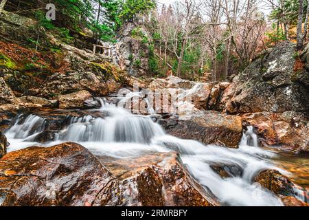 Der Glen Ellis Falls Nature Trail, Jackson, NH, USA, stürzt an einem bewölkten Tag im Herbst an einem Wasserfall. Stockfoto