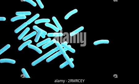Bakterien. Isoliert. Prokaryotische Mikroorganismen. Blaue und schwarze Farbe. 3D-Abbildung. Stockfoto