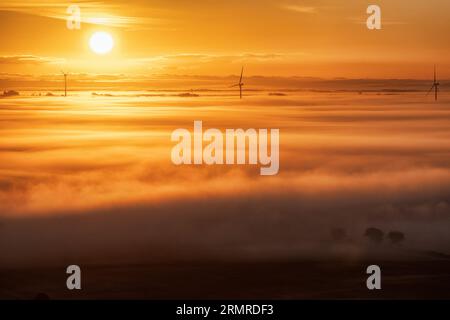 Sonnenaufgang mit Windrädern über dem Nebel Stockfoto