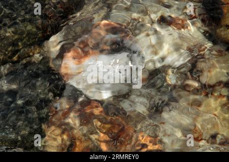 Weiße, graue und rötlich braune Felsen unter Wasser Stockfoto