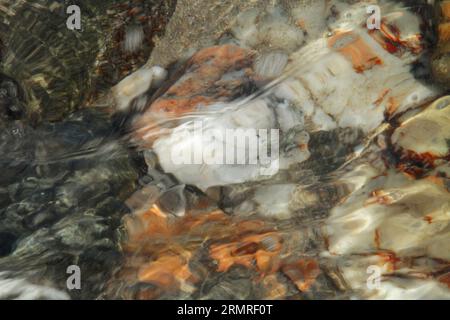 Weiße, graue und rötlich braune Felsen unter Wasser Stockfoto