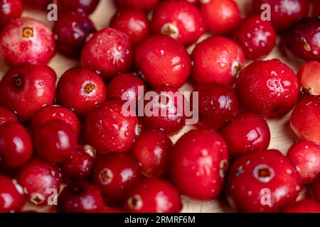 Rote wilde Cranberrys bedeckt mit Wassertropfen, frische reife Cranberrys mit Tropfen reinen Wassers Stockfoto