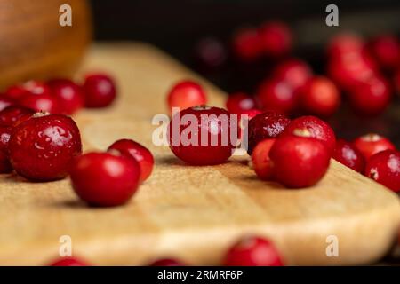 Rote wilde Cranberrys bedeckt mit Wassertropfen, frische reife Cranberrys mit Tropfen reinen Wassers Stockfoto