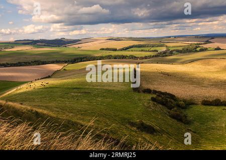 Die wundervolle Aussicht auf die Landschaft von East Sussex und die südlichen Tiefen von Kingston Ridge im Südosten Englands Stockfoto