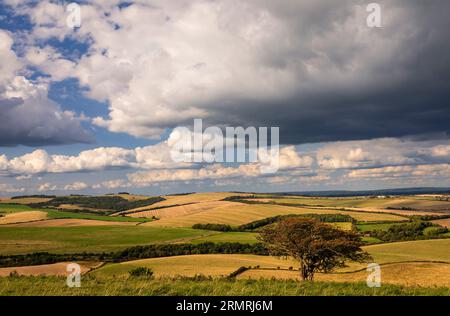 Die wundervolle Aussicht auf die Landschaft von East Sussex und die südlichen Tiefen von Kingston Ridge im Südosten Englands Stockfoto
