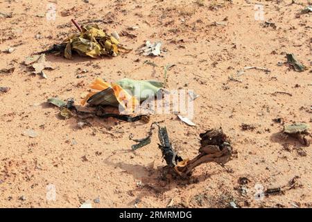 (140726) -- OUAGADOUGOU, 25. Juli 2014 (Xinhua) -- Foto vom 25. Juli 2014 zeigt den Absturzort des Air Algerie-Fluges AH 5017 in der Region Gossi in Mali. Die zweite Black Box des Flugzeugs wurde in der Absturzstelle gefunden, sagte die multidimensionale integrierte Stabilisierungsmission der Vereinten Nationen am Samstag. (Xinhua) MALI-ALGERIEN-FLUGZEUG CRASH-BLACK BOXES-FOUND PUBLICATIONxNOTxINxCHN Ouagadougou Juli 25 2014 XINHUA Foto vom Juli 25 2014 zeigt die ABSTURZSTELLE des Air Algerie-Fluges AH 5017 in der Region Mali S Gossi die zweite Black Box des FLUGZEUGS wurde im Crash Si gefunden Stockfoto