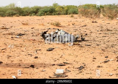 (140726) -- OUAGADOUGOU, 25. Juli 2014 (Xinhua) -- Foto vom 25. Juli 2014 zeigt den Absturzort des Air Algerie-Fluges AH 5017 in der Region Gossi in Mali. Die zweite Black Box des Flugzeugs wurde in der Absturzstelle gefunden, sagte die multidimensionale integrierte Stabilisierungsmission der Vereinten Nationen am Samstag. (Xinhua) MALI-ALGERIEN-FLUGZEUG CRASH-BLACK BOXES-FOUND PUBLICATIONxNOTxINxCHN Ouagadougou Juli 25 2014 XINHUA Foto vom Juli 25 2014 zeigt die ABSTURZSTELLE des Air Algerie-Fluges AH 5017 in der Region Mali S Gossi die zweite Black Box des FLUGZEUGS wurde im Crash Si gefunden Stockfoto