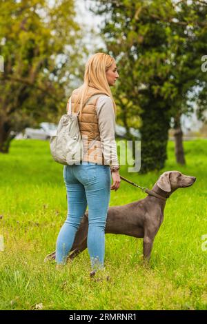 Blondes Mädchen, das mit dem Hund im Park spaziert. Grauer Weimaraner, der auf einer grünen Graswiese steht Stockfoto