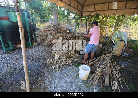 Bambus-Strohhalme-Herstellungsverfahren im sozialen Unternehmen: Bantayan Bamboo Innovation Workshop. Kunststoffstroh nachhaltige Alternative, umweltfreundlich Stockfoto