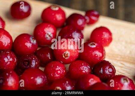 Rote wilde Cranberrys bedeckt mit Wassertropfen, frische reife Cranberrys mit Tropfen reinen Wassers Stockfoto