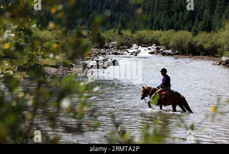 (140825) -- ZHANGYE, 25. August 2014 -- Ein Tourist reitet Ein Pferd, um einen Fluss auf der Shandan Horse Ranch in der Stadt Zhangye, nordwestchinesische Provinz Gansu, 23. August 2014 zu überqueren. Die Shandan Horse Ranch, die sich im Damayin-Weideland des Qilian Mountain befindet, erstreckt sich über eine Fläche von 219.693 Hektar. Die Geschichte der Ranch kann bis 121 v. Chr. zurückverfolgt werden, als der berühmte chinesische General Huo Qubing die Ranch speziell für die Herde von Pferden für die chinesische Armee gründete. Seitdem ist die Ranch, die für die Shandan-Pferdehybriden bekannt war, die Basis der Militär- und Königspferde Stockfoto