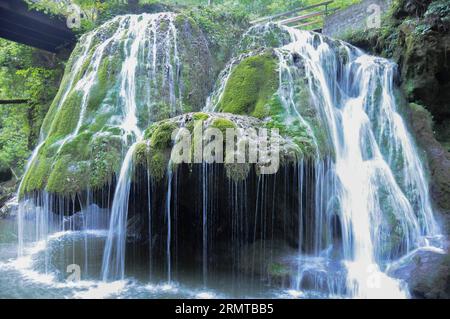 BUKAREST, 26. August 2014 -- Foto aufgenommen am 26. August 2014, zeigt den Bigar-Wasserfall in Caras-Severin im Südwesten Rumäniens. Bigar ist einer der ungewöhnlichsten Wasserfälle der Welt und einer der schönsten in Rumänien. Laut der World Geography Website gibt es eine Reihe von Fakten, die es als Nummer eins auf der Liste von acht einzigartigen Wasserfällen auf der ganzen Welt platzieren, da sich das Wasser ausbreitet und in winzige Wasserfetzen fällt. ) (lmz) ROMANIA-WATERFALL-BIGAR LinxHuifen PUBLICATIONxNOTxINxCHN Bukarest August 26 2014 Foto aufgenommen AM 26 2014. August zeigt den Bigar-Wasserfall in Caras Sev Stockfoto