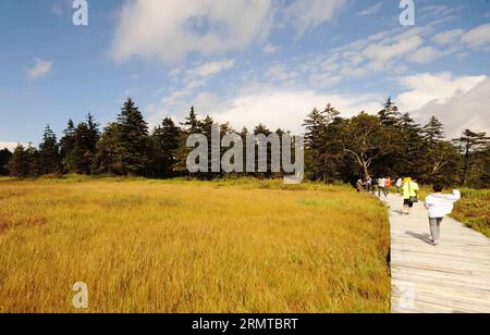 WUCHANG, 27. August 2014 -- Touristen besuchen ein Reisfeld auf dem Gaoshan Sumpfgebiet im Fenghuang Berg in Wuchang, nordöstliche chinesische Provinz Heilongjiang, 27. August 2014. Das Gaoshan-Feuchtgebiet im Fenghuang-Berg, das sich auf einer Höhe von 1.500 Metern befindet, ist das höchste Feuchtgebiet in der Provinz Heilongjiang. ) (lfj) CHINA-HEILONGJIANG-WUCHANG-WETLAND (CN) WangxJianwei PUBLICATIONxNOTxINxCHN WUCHANG Aug 27 2014 Touristen besuchen ein Paddy-Feld AUF DEM Taiwanesischen Aborigines-Feuchtgebiet im Fenghuang-Berg in WUCHANG NORDOSTCHINA Provinz S Heilongjiang im August 27 2014 die taiwanesischen Aborigines W Stockfoto