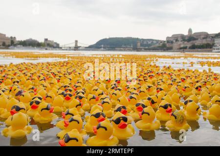 (140901) -- BUDAPEST, -- Tausende von Gummienten schweben am 31. August 2014 vor dem Parlamentsgebäude auf der Donau während eines Benefizrennens in Budapest, Ungarn. Fast 52.000 Gummienten wurden in die Donau geworfen. ) UNGARN-BUDAPEST-GUMMI-ENTENRENNEN AttilaxVolgyi PUBLICATIONxNOTxINxCHN Budapest Tausende von Gummi-Enten schwimmen die Donau vor dem Parlamentsgebäude während eines Gummi-Entenrennen für wohltätige Zwecke in Budapest Ungarn AM 31 2014. August wurden 52 000 Gummi-Enten in die Donau geworfen Ungarn Budapest Gummi-Entenrennen ATTILAxVOLGYI PUBL Stockfoto