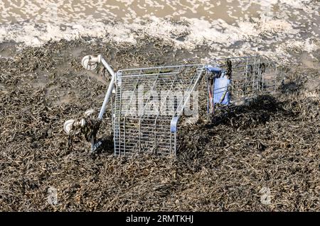 Einkaufswagen Stockfoto