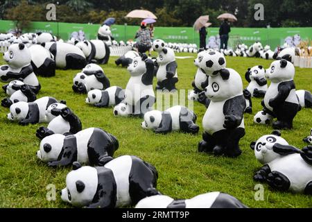 (140919) -- HANGZHOU, 19. September 2014 -- Panda-Figuren werden auf einem Rasen in der Nähe des Westsees in Hangzhou, ostchinesische Provinz Zhejiang, 19. September 2014, ausgestellt. Insgesamt 1.600 Pandas, die aus umweltfreundlichen Materialien hergestellt wurden, sind Werke des französischen Künstlers Paulo Grangeon. Diese Pandas haben viele Städte wie Paris, Berlin und Hongkong besucht. ) (lfj) CHINA-ZHEJIANG-HANGZHOU-PANDA FIGUREN (CN) XuxYu PUBLICATIONxNOTxINxCHN Hangzhou 19. September 2014 Panda-Figuren werden AUF einem Rasen in der Nähe des WESTSEES in Hangzhou Ostchina S Zhejiang Provinz 19. September 2014 insgesamt 1 600 Pandas angezeigt, die wir haben Stockfoto