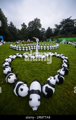 (140919) -- HANGZHOU, 19. September 2014 -- Panda-Figuren werden auf einem Rasen in der Nähe des Westsees in Hangzhou, ostchinesische Provinz Zhejiang, 19. September 2014, ausgestellt. Insgesamt 1.600 Pandas, die aus umweltfreundlichen Materialien hergestellt wurden, sind Werke des französischen Künstlers Paulo Grangeon. Diese Pandas haben viele Städte wie Paris, Berlin und Hongkong besucht. ) (lfj) CHINA-ZHEJIANG-HANGZHOU-PANDA FIGUREN (CN) XuxYu PUBLICATIONxNOTxINxCHN Hangzhou 19. September 2014 Panda-Figuren werden AUF einem Rasen in der Nähe des WESTSEES in Hangzhou Ostchina S Zhejiang Provinz 19. September 2014 insgesamt 1 600 Pandas angezeigt, die wir haben Stockfoto