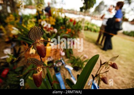 (140920) -- BOGOTA, 20. September 2014 -- Menschen besuchen die 12. Nationale Orchideenausstellung in Bogota City, Hauptstadt Kolumbiens, am 19. September 2014. Die Ausstellung findet vom 19. Bis 22. September statt. Jhon Paz) (djj) COLOMBIA-BOGOTA-ORCHID-EXPOSITION e Jhonxpaz PUBLICATIONxNOTxINxCHN Bogota 20. September 2014 Prominente besuchen die 12. Nationale Orchideenexposition in Bogota City Capital of Colombia AM 19. September 2014 die Exposition wird Held vom 19. Bis 22. September sein Jhon Paz Colombia und PUxBLINXN Orchideenexposition Stockfoto