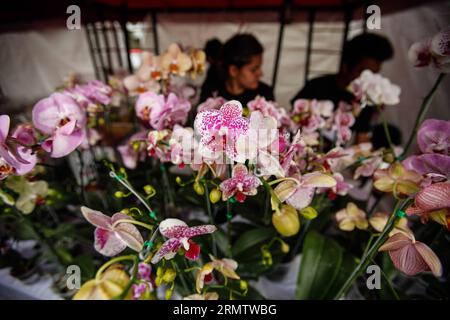 (140920) -- BOGOTA, 20. September 2014 -- Menschen besuchen die 12. Nationale Orchideenausstellung in Bogota City, Hauptstadt Kolumbiens, am 19. September 2014. Die Ausstellung findet vom 19. Bis 22. September statt. Jhon Paz) (djj) COLOMBIA-BOGOTA-ORCHID-EXPOSITION e Jhonxpaz PUBLICATIONxNOTxINxCHN Bogota 20. September 2014 Prominente besuchen die 12. Nationale Orchideenexposition in Bogota City Capital of Colombia AM 19. September 2014 die Exposition wird Held vom 19. Bis 22. September sein Jhon Paz Colombia und PUxBLINXN Orchideenexposition Stockfoto