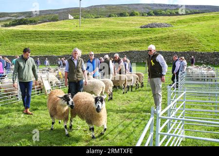 Reeth Show 2023, North Yorkshire Stockfoto