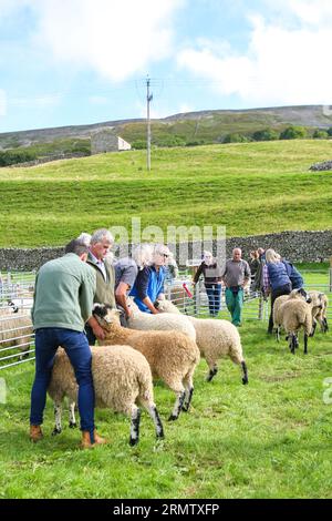 Reeth Show 2023, North Yorkshire Stockfoto