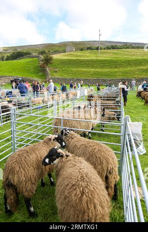 Reeth Show 2023, North Yorkshire Stockfoto