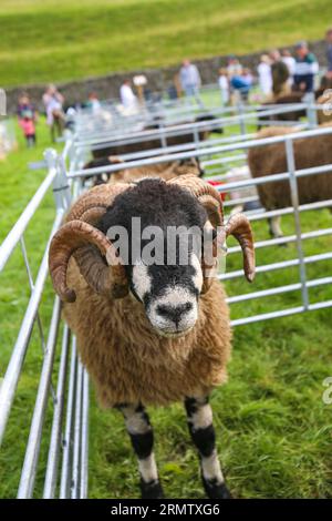 Reeth Show 2023, North Yorkshire Stockfoto