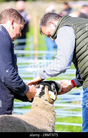 Reeth Show 2023, North Yorkshire Stockfoto