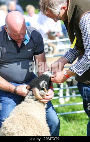 Reeth Show 2023, North Yorkshire Stockfoto