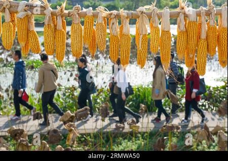 (141016) -- HUANGSHAN, 16. Oktober 2014 -- Touristen laufen an Corns vorbei, die zur Ausstrahlung gehängt werden im alten Dorf Chenkan der Stadt Huangshan, Ostchinas Provinz Anhui, 16. Oktober 2014. Die Bauern begannen hier, ihre Herbsternten zu lüften. ) (lfj) CHINA-ANHUI-HUANGSHAN-VILLAGE CN) DuxYu PUBLICATIONxNOTxINxCHN Huang Shan OCT 16 2014 Touristen laufen an Kernen vorbei, die im alten Dorf Huang Shan City Ostchina S Anhui Province OCT 16 2014 Bauern hier begannen ihre Herbsternten zu lüften China Anhui Huang ShICTICTINxPINCN Village Stockfoto