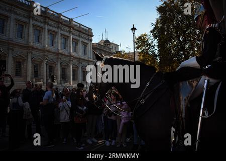 Guardsman on Horseback am Eingang zu Horse Guards in London Stockfoto