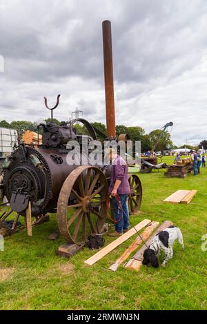 Beim Steam & Vintage fest, Fordingbridge, Hampshire UK im August Stockfoto