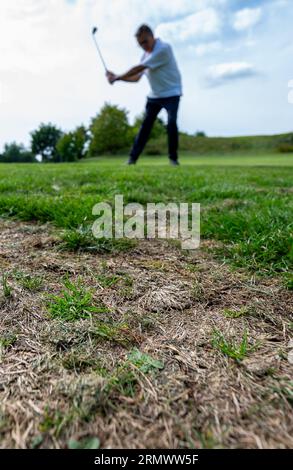 PRODUKTION - 24. August 2023, Niedersachsen, Adendorf: Ausgetrocknete Grasflächen sind auf einem Golfplatz zu sehen. Das Image der Golfer und ihrer Vereine ist voller Vorurteile: Zu elitär und nicht sehr umweltfreundlich. Ist die Bewässerung der langen Gänge in Zeiten von Wasserknappheit immer noch gerechtfertigt? (Zu dpa "zu wenig Regen: Golfplätze basteln an Bewässerungskonzepten") Foto: Philipp Schulze/dpa Stockfoto