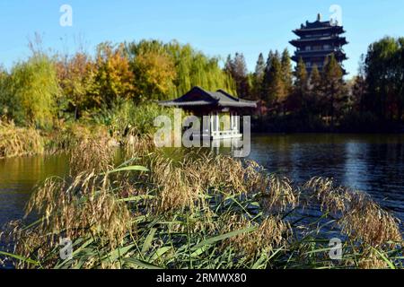 (141113) -- PEKING, 13. November 2014 -- Foto aufgenommen am 13. November 2014 zeigt die Landschaft des Daming Lake in Jinan, ostchinesische Provinz Shandong. ) (Yxb) CHINA-SHANDONG-JINAN-DAMING LAKE-LANDSCHAFT (CN) GuoxXulei PUBLICATIONxNOTxINxCHN Peking 13. November 2014 Foto aufgenommen AM 13. November 2014 zeigt die Landschaft des Daming Lake in Jinan Ostchina Provinz S Shan Dong China Shan Daming Lake Landschaft CN PUBLICATIONxNOTxINxCHN Stockfoto