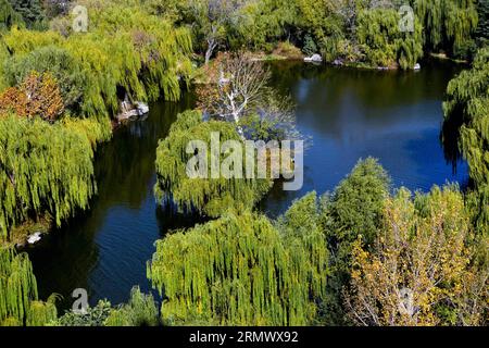 (141113) -- PEKING, 13. November 2014 -- Foto aufgenommen am 13. November 2014 zeigt die Landschaft des Daming Lake in Jinan, ostchinesische Provinz Shandong. ) (Yxb) CHINA-SHANDONG-JINAN-DAMING LAKE-LANDSCHAFT (CN) GuoxXulei PUBLICATIONxNOTxINxCHN Peking 13. November 2014 Foto aufgenommen AM 13. November 2014 zeigt die Landschaft des Daming Lake in Jinan Ostchina Provinz S Shan Dong China Shan Daming Lake Landschaft CN PUBLICATIONxNOTxINxCHN Stockfoto