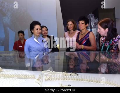 (141116) -- BRISBANE, 16. November 2014 -- Peng Liyuan (L, Front), Ehefrau des chinesischen Präsidenten Xi Jinping, besucht Queensland Museum in Brisbane, Australien, 16. November 2014. ) (lfj) AUSTRALIA-BRISBANE-PENG LIYUAN-VISIT RaoxAimin PUBLICATIONxNOTxINxCHN Brisbane 16. November 2014 Peng Liyuan l Frontfrau des chinesischen Präsidenten Xi Jinping besucht Queensland Museum in Brisbane Australien 16. November 2014 Australien Brisbane Peng Liyuan Visit RaoxAimin PUBLICATIONxNOTxINxCHN Stockfoto