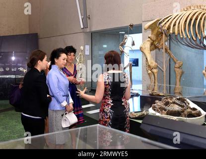 (141116) -- BRISBANE, 16. November 2014 -- Peng Liyuan (2. L), Ehefrau des chinesischen Präsidenten Xi Jinping, besucht Queensland Museum in Brisbane, Australien, 16. November 2014. ) (lfj) AUSTRALIA-BRISBANE-PENG LIYUAN-VISIT RaoxAimin PUBLICATIONxNOTxINxCHN Brisbane 16. November 2014 Peng Liyuan 2. L Ehefrau des chinesischen Präsidenten Xi Jinping besucht Queensland Museum in Brisbane Australien 16. November 2014 Australien Brisbane Peng Liyuan Visit RaoxAimin PUBLICATIONxNOTxINxCHN Stockfoto