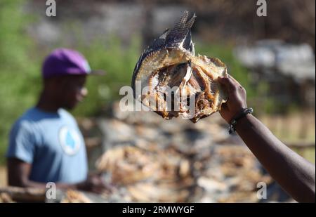 (141116) -- KARIBA, 16. November 2014 -- einheimische Brassen in der Nähe eines Fischmarktes in Kariba, einer Seestadt etwa 364 km nordwestlich von Harare, der Hauptstadt Simbabwes, 15. November 2014. Die Fischerei ist die wichtigste Industrie in Kariba, Afrikas größtem künstlichen See, der von Simbabwe und Zamba geteilt wird und eine Vielzahl von Brassen, Kapenta und Tigerfischen beherbergt. ) (lmz) ZIMBABWE-KARIBA-FISHING Stringer PUBLICATIONxNOTxINxCHN Kariba Nov 16 2014 Einheimische Brassen in der Nähe eines Fischereimarktes in Kariba, einer Seestadt nordwestlich von Harare, Hauptstadt von Simbabwe, 15. November 2014 Fischerei IST die Hauptindustrie in Kariba, Afrika, die größte Artificia Stockfoto