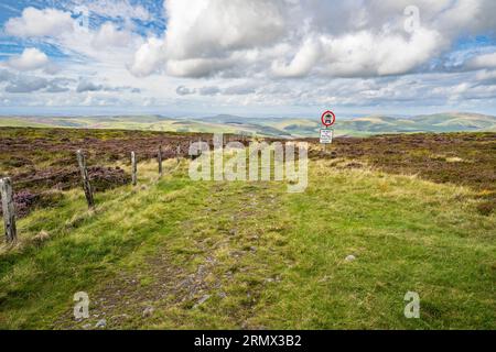 Die historische Handelsstraße Clennell Street, die von England aus den Cheviot Hills, Northumberland National Park, in Schottland überquert wird. Stockfoto