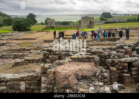 Besucher auf einer Führung durch die Vindolanda-Ruinen in Northumberland Stockfoto