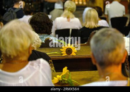 Nicht exklusiv: LEMBERG, UKRAINE - 29. AUGUST 2023 - Sonnenblumen, die an Militärs erinnern, die während des Durchbruchs aus dem Umkreis umgekommen sind Stockfoto