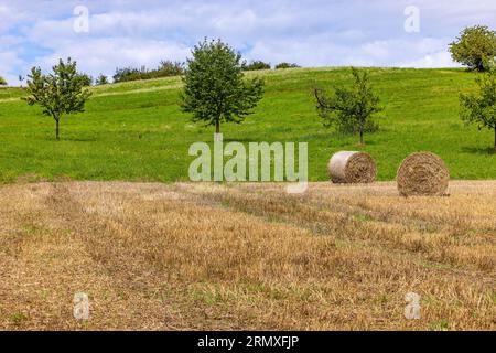 Ein Stoppelfeld mit Heuballen vor einer grünen Wiese mit Bäumen an einem Hang, Deutschland Stockfoto