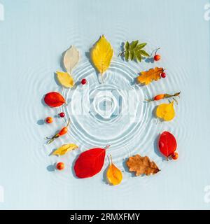 Wasserhintergrund mit Kräuseln und Tropfen und gefärbten gefallenen Blättern. Leerzeichen kopieren Stockfoto