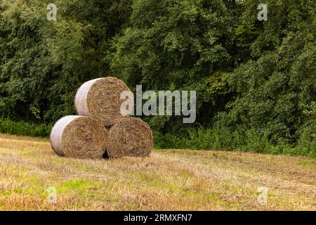 Drei Strohballen, die auf einem landwirtschaftlichen Feld vor grünen Bäumen im Hintergrund aufeinander gestapelt sind Stockfoto
