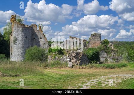 Schloss Fagnolle aus dem 12. Jahrhundert / Château de Fagnolle, mittelalterliche Ruinen in der Nähe von Philippeville, Provinz Namur, Wallonien, Belgien Stockfoto