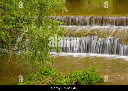 Umgebung des Flusses Tenes, der im Frühjahr durch Santa Eulàlia de Roncana führt (Vallès Oriental, Barcelona, Katalonien, Spanien) Stockfoto