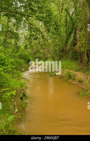 Umgebung des Flusses Tenes, der im Frühjahr durch Santa Eulàlia de Roncana führt (Vallès Oriental, Barcelona, Katalonien, Spanien) Stockfoto