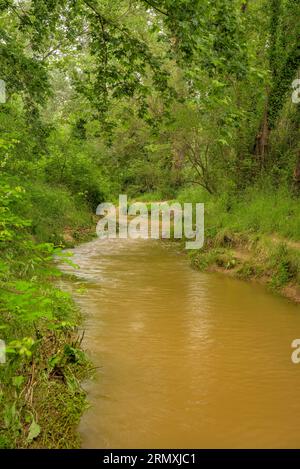 Umgebung des Flusses Tenes, der im Frühjahr durch Santa Eulàlia de Roncana führt (Vallès Oriental, Barcelona, Katalonien, Spanien) Stockfoto